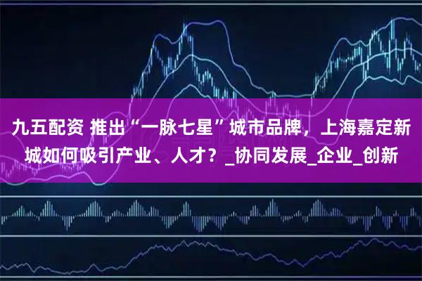 九五配资 推出“一脉七星”城市品牌,上海嘉定新城如何吸引产业、人才?_协同发展_企业_创新